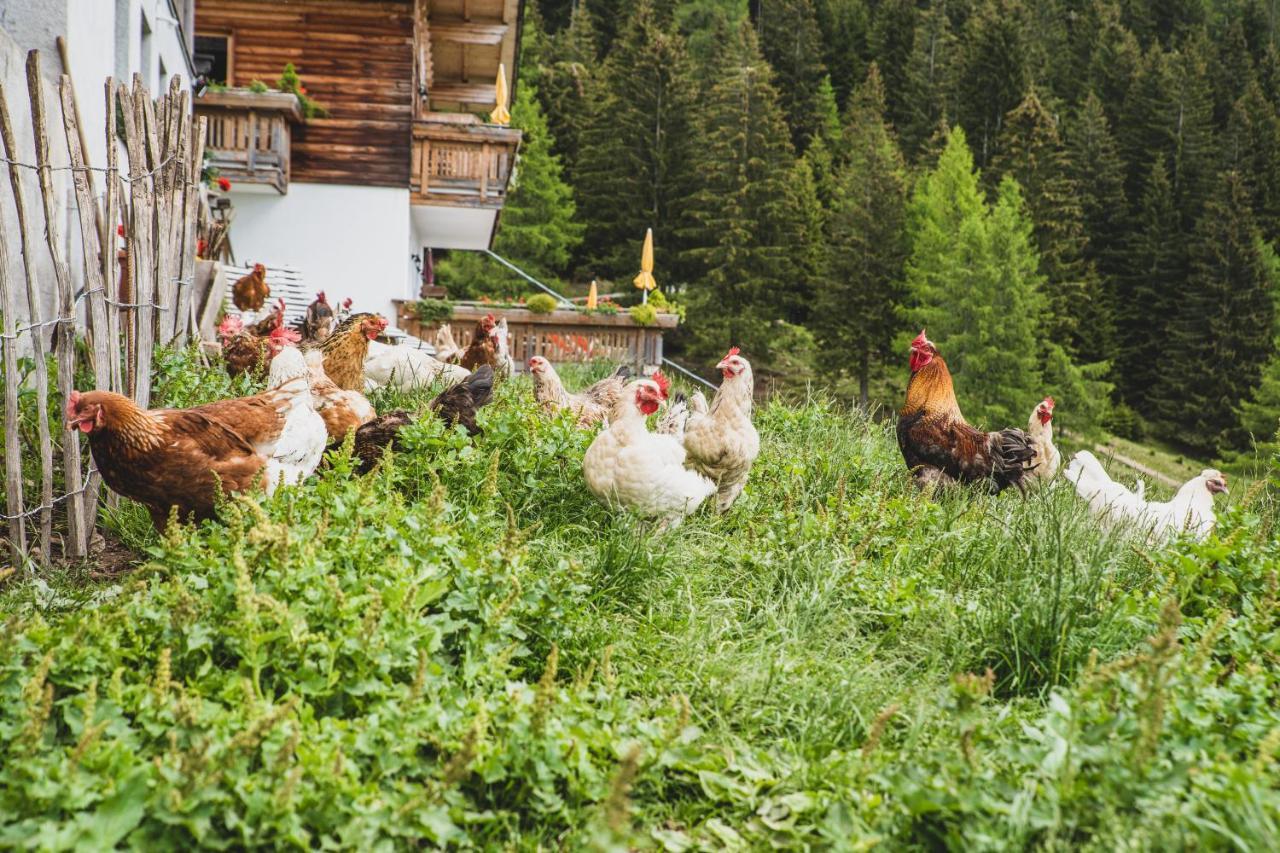 Ferienwohnungen Wiesbauer เชนนา ภายนอก รูปภาพ