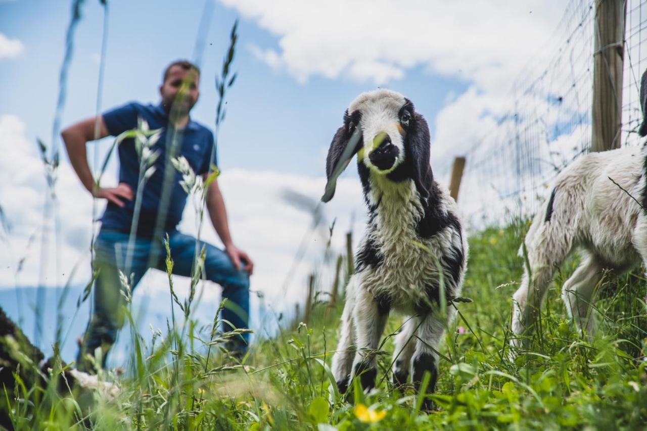 Ferienwohnungen Wiesbauer เชนนา ภายนอก รูปภาพ